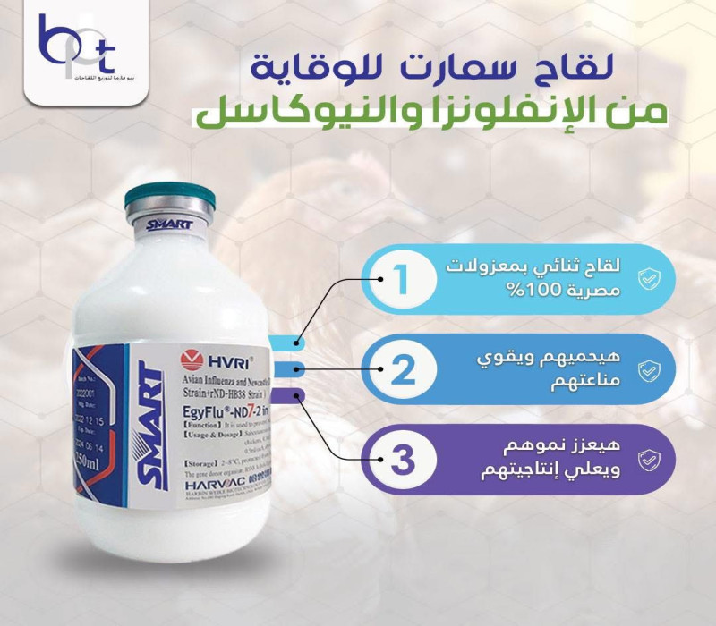 SMART ( EGYFLUE H5 ND7 2 IN 1 )- Nagyawad