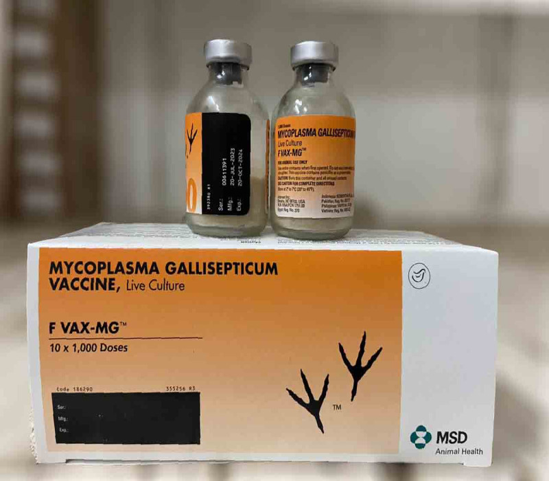 NagyAwad
