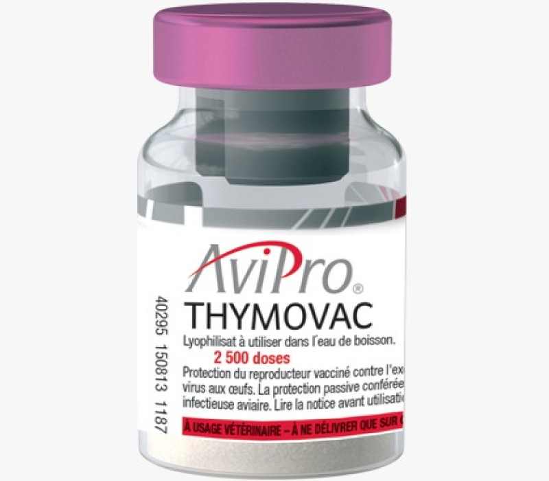 Avipro Thymovac - Nagyawad