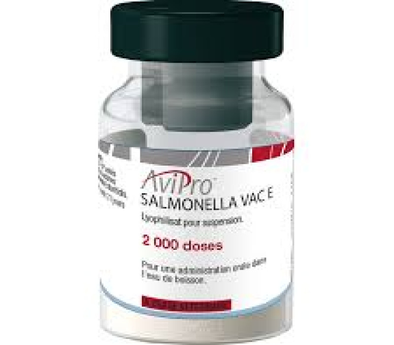 AVIPRO SALMONELLA VAC E  - Nagyawad
